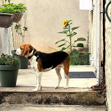 Casa de Férias Le Bonheur Hiersac