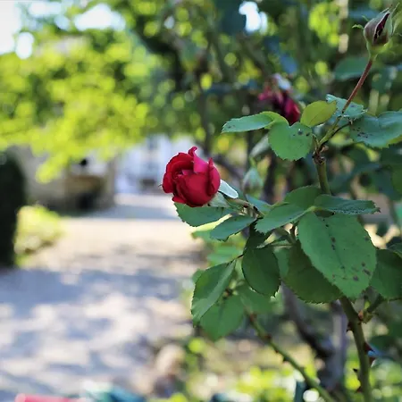 Casa de Férias Le Bonheur Hiersac