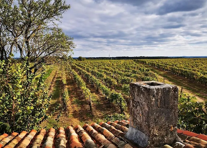 Le Bonheur بيت للعطل Hiersac