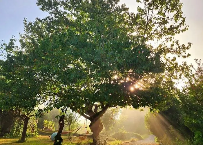 Le Bonheur بيت للعطل *