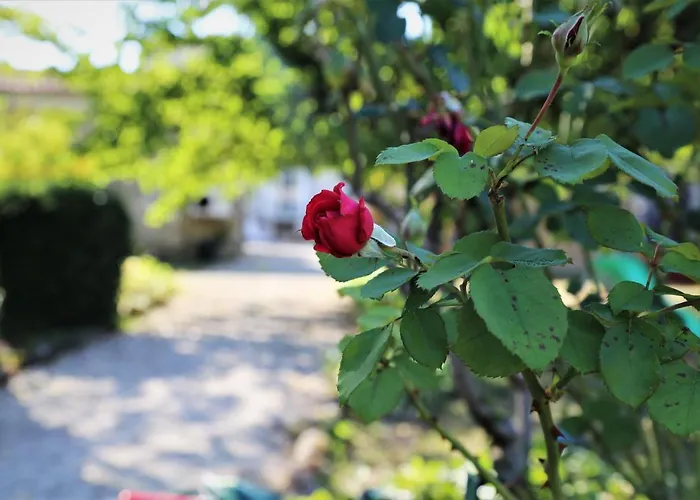 بيت للعطل Le Bonheur Hiersac