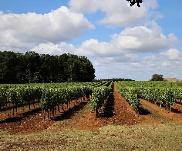 بيت للعطل Le Bonheur Hiersac